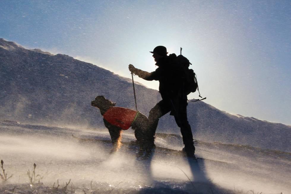 VINTERJAKTAS FØRSTE BUD: Sett sikkerheten først. Pass på deg selv og hunden, unngå forfrysninger og ras. Ha tørre klær og fyrstikker i sekken, så får du leve lenge i vinterlandet. Vinterjakt-Rype-2