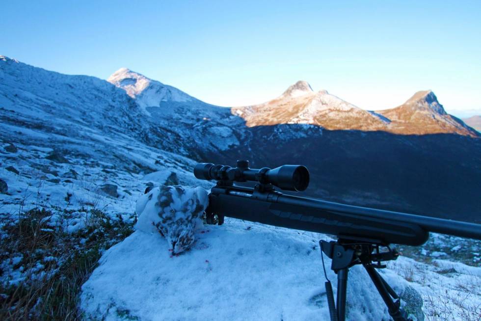FLEKKJAKT: Ei lett rifle med fint og flattskytende kaliber kan være et nyttig verktøy, særlig når det er lite snø og rypene samler seg på nakne rabber. Vinterjakt-Rype-6