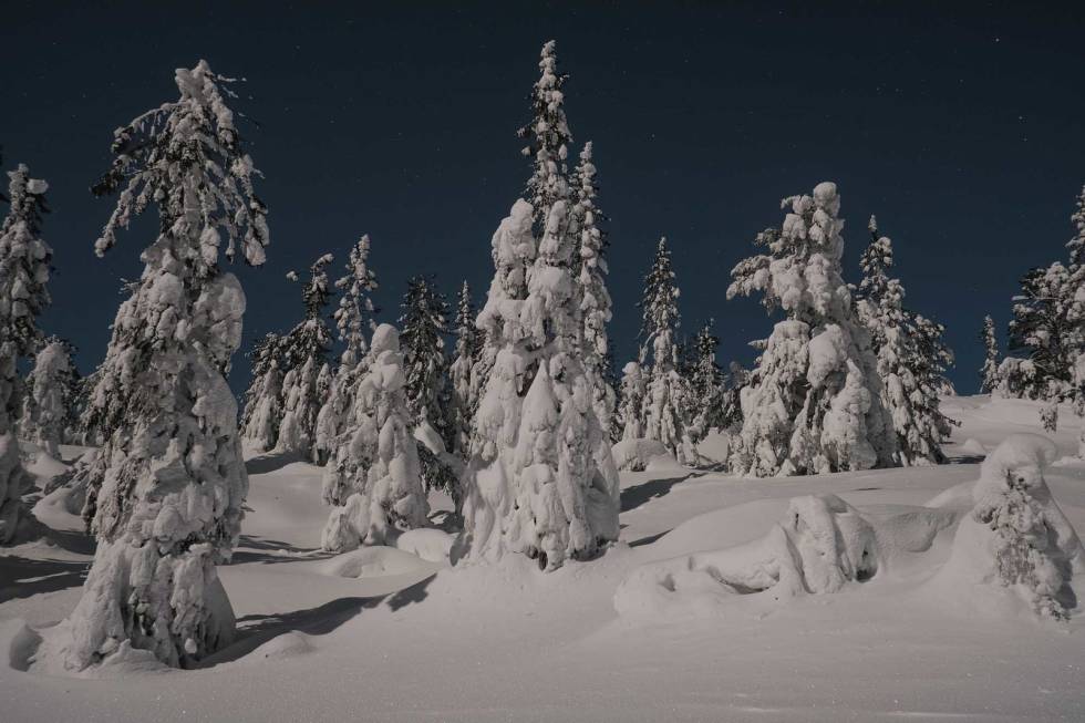 MAGISK STEMNING: Det beste er når du ikke trenger lys fra noe annet enn månen og stjernene. Foto: Mikkel Soya Bølstad vintersykling overnatting tips