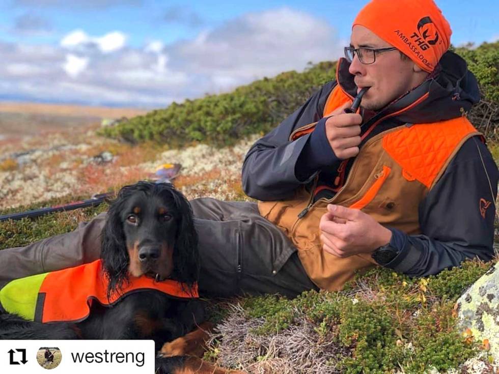 @westreng: Verdens vakreste eventyr med min kjære @annetteholen og hundene. Får ikke blitt bedre #liveterbestute #utno #inatur #ngsk #minfuglehund westreng