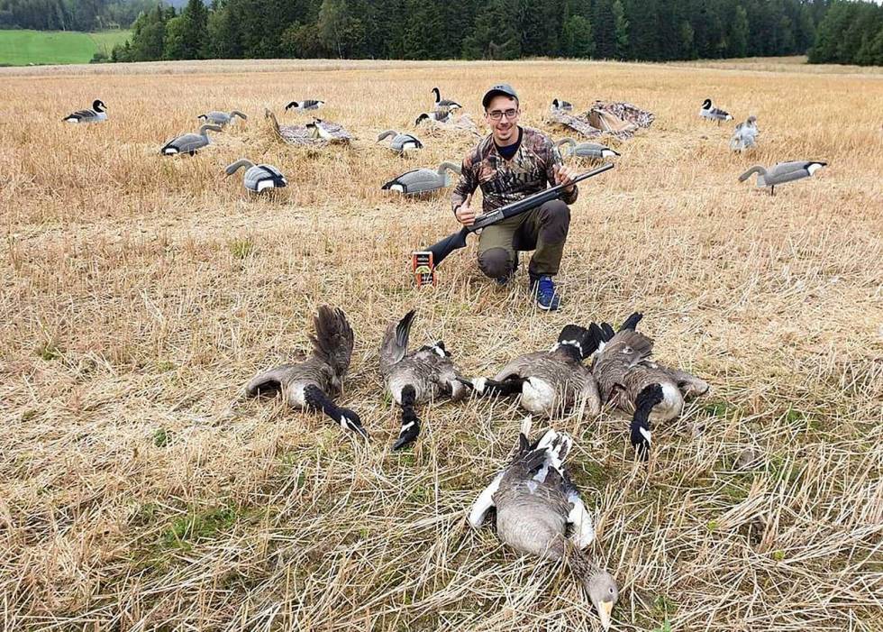 @westreng: Only six day's left to the grand opening Goose hunt it is #jaktforlivet #jegerhundogvåpen #settersofnorway #mittfriluftsliv #mittlekeland #nesksetter #jaktogfriluftsbilder #goosehunting westreng