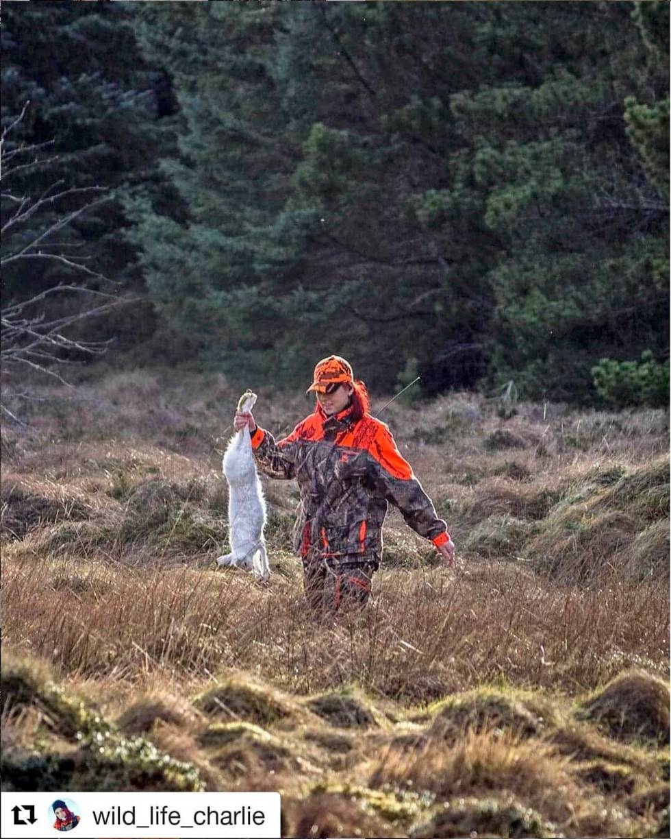 @wild_life_charlie: My first hare! I ran out onto the ground to retrieve it as soon as I had shot it. #harehunting #hunting #jakt #huntress #hunter #redhairhuntress #harejakt #jeger #jaktogfriluft wildlifecharlie